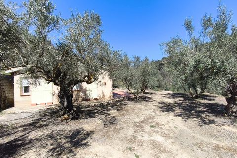 Herregård i Alcoleja, Alicante, Alcoleja - € 50 000 | Ref: 10420 - foto 43